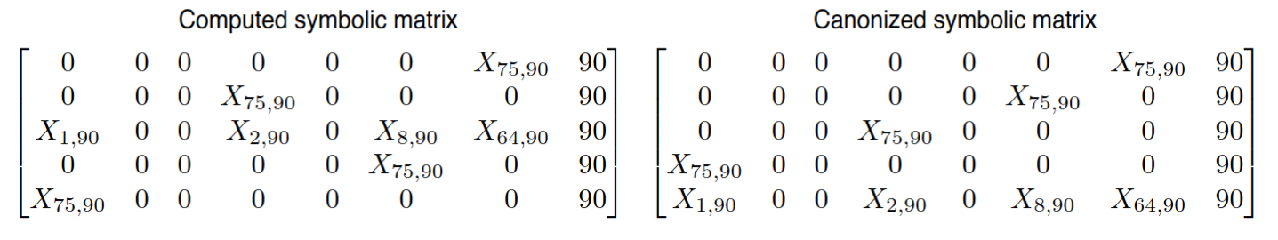 Canonization of the ports-connectivity symbolic matrix
